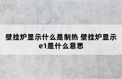 壁挂炉显示什么是制热 壁挂炉显示e1是什么意思